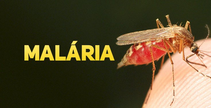 Trabalho sobre a Malária