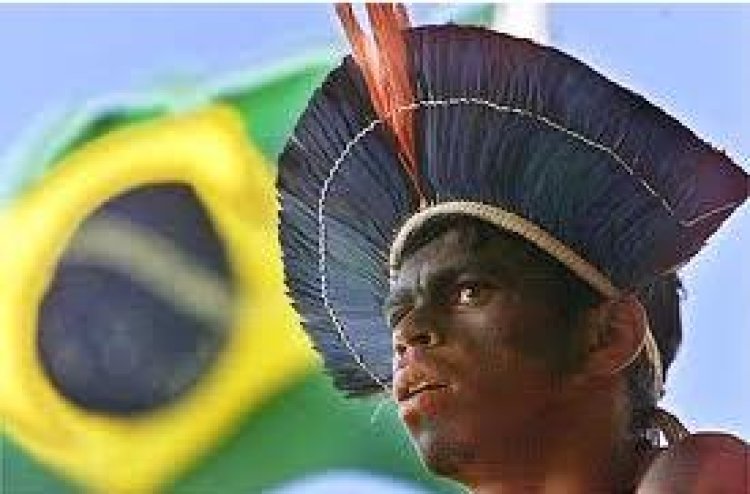Resumo sobre os Índios no Brasil
