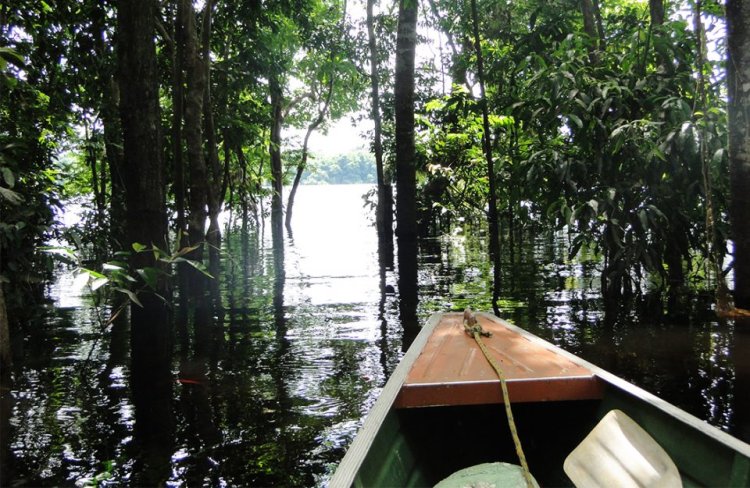 Resumo sobre a História do Amazonas