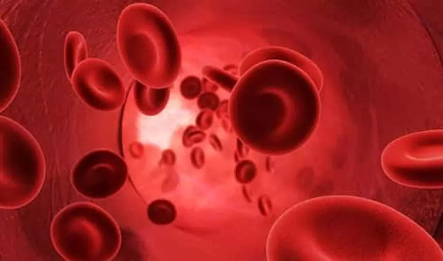 Resumo sobre Herança dos Grupos Sanguíneos